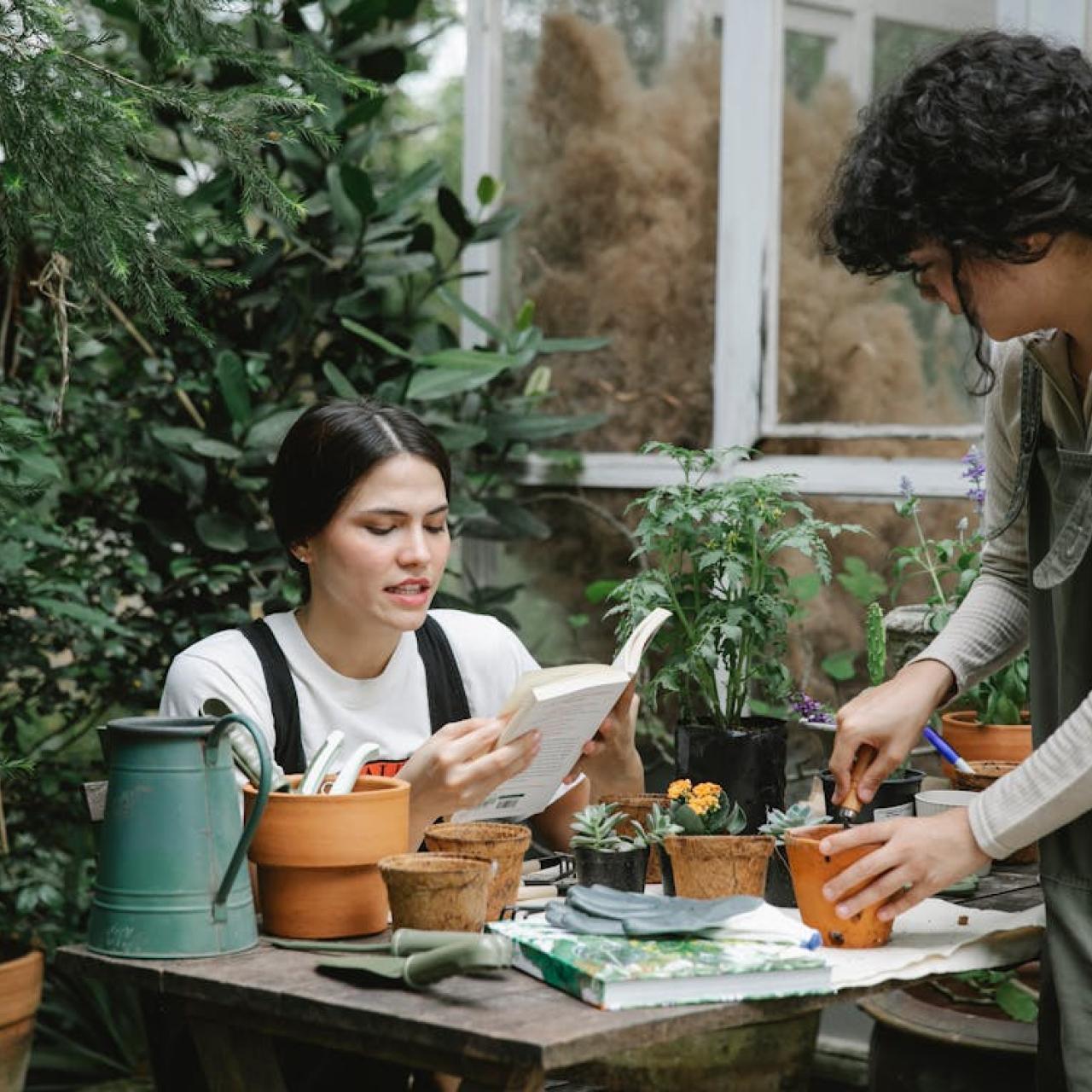 Garten Lesen